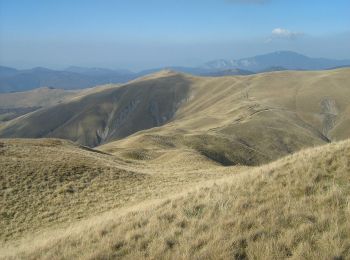 Randonnée A pied Comarnic - Posada - Tituleni - Culmea Zamora - Photo