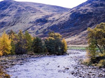 Trail On foot  - South Esk Trail - Photo