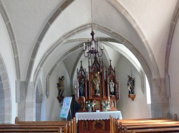 Percorso A piedi Niederwaldkirchen - Steinbach-Rundweg - Photo