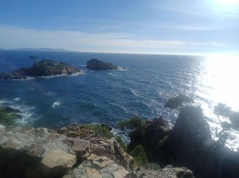 Randonnée Trail Bormes-les-Mimosas - Pointe du Diable et de Estagnol  - Photo