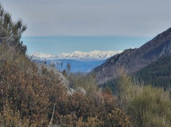 Randonnée Marche Beynes - 2024-01-19 Montagne de Beynes  - Photo