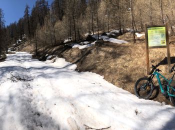 Trail Mountain bike Châteauroux-les-Alpes - Montée au Distroit - Photo