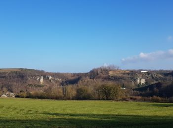 Randonnée Marche Wanze - balade autour de château de Moha - Photo