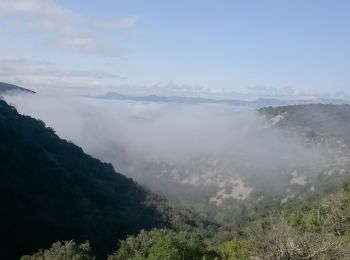 Excursión Senderismo Brissac - St Etienne d'Issensac  - Photo