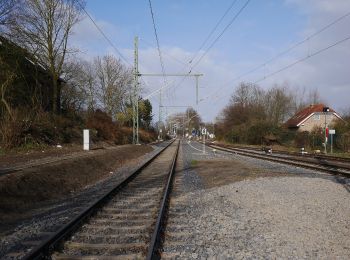 Tocht Te voet Hamminkeln - Hamminkeln Rundweg A3 - Photo