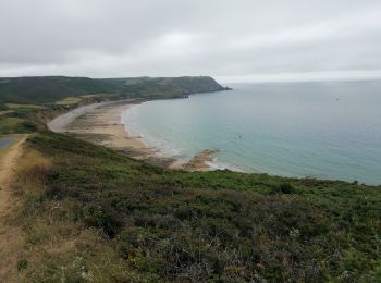 Tour Wandern La Hague - 50 Nez de Jobourg baie d'Ecalgrain 11km - Photo