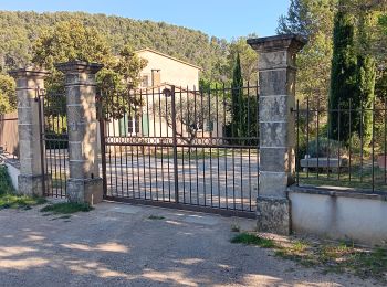 Tocht Stappen Lafare - autour des Dentelles de Montmirail - Photo