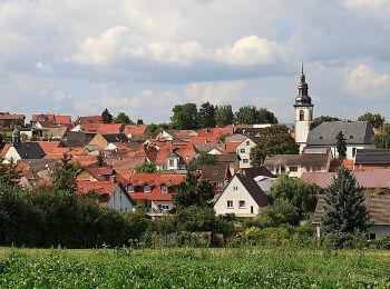 Trail On foot Appenheim - Appenheim: 7-Quellenweg - Photo