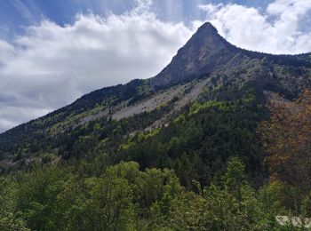 Tocht Stappen Le Glaizil - 20190528_Chapeau de l'évêque via Le Glaizil - Photo