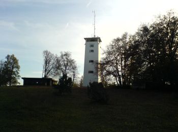 Excursión A pie Gomadingen - Rundwanderweg Oberkochen Nr. 3 - Photo