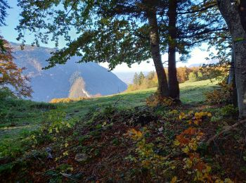 Excursión Senderismo Saint-Nizier-du-Moucherotte - Plateau Charvet (petite boucle) - Photo