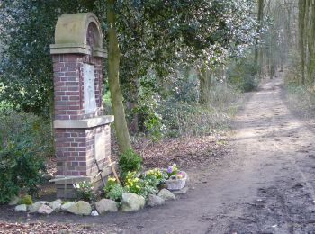 Excursión A pie Reken - Waldkapelle Rundweg A3 - Photo