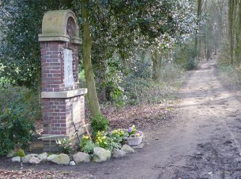 Randonnée A pied Reken - Waldkapelle Rundweg A3 - Photo