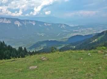 Trail On foot Tarvisio - AT-522 - Photo