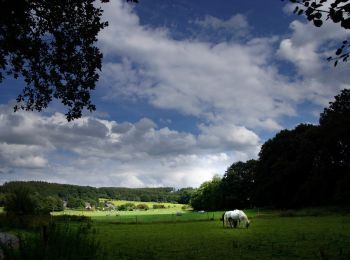 Randonnée A pied Marienheide - Rundweg A6 (Schmitzwipper) - Photo