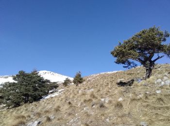 Excursión Esquí de fondo Valdeblore - Mont Petoumier. Mont Pépoiri - Photo