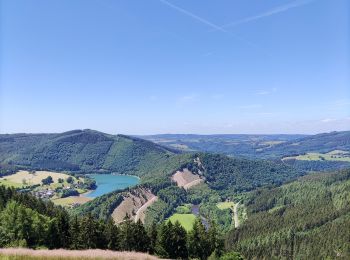 Randonnée Marche Stavelot - Promenade du point de vue de Ster  - Photo