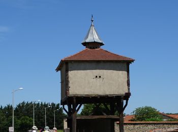 Percorso Marcia Saint-Laure - saint laure - Photo