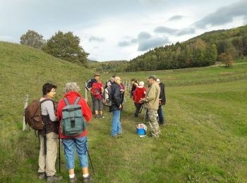 Randonnée Marche Masevaux-Niederbruck - 2019.10.17.Masevaux - Photo