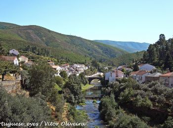 Tocht Te voet Alvoco da Serra - Rota da Ribeira de Alvoco - Photo