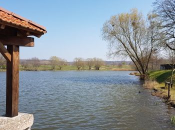 Randonnée Marche Bulgnéville - Bulgnéville : Circuit court des 2 lacs - Photo