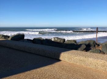 Tocht Stappen Anglet - Promenade Victor Mendiboure Anglet - Photo