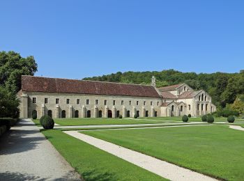 Percorso A piedi Marmagne - Circuit de l'Abbaye - Photo