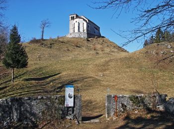 Trail On foot Tolmezzo - IT-460 - Photo