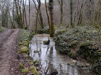 Randonnée Marche Vayrac - autour de Floirac  - Photo