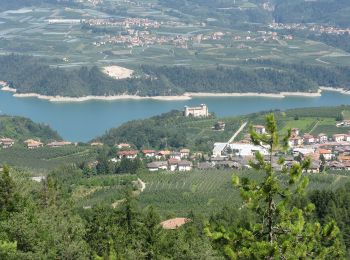 Tour Zu Fuß Cles - Senter de la Bepina - Photo