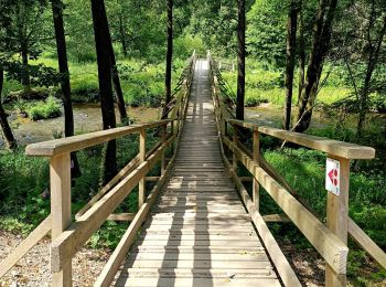 Tour Wandern Amel - La rivière d'or (9km) - Photo