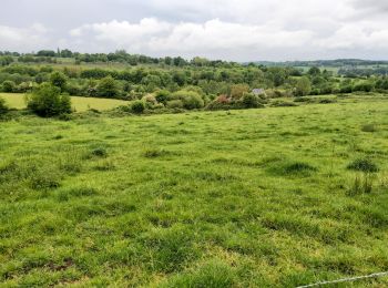 Tour Wandern Valorbiquet - St Cyr-Pretreville - Photo