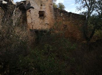 Randonnée Marche Oraison - Le bois de St Martin d'Oraison - Photo