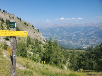 Randonnée Marche Enchastrayes - col du Chapeau de gendarme et de Gyp Aller via flanc est Retour via flanc nord - Photo