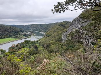 Tocht Mountainbike Hastière - Hastière - Heer Agimont - Photo