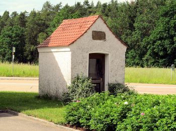 Randonnée A pied Schwandorf - Wanderroute Holzhaus-Klardorf Bhf - Photo