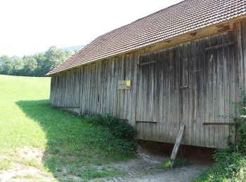 Tocht Te voet Gemeinde Kaumberg - Forellenhof Böck (Höfnergraben) - Brunntal - Harras Furth - Photo