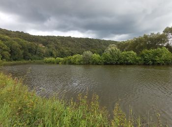 Trail Walking Fontaine-l'Évêque - rando.. promenade du charbonnier  - Photo