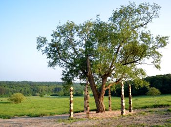 Randonnée Marche Somme-Leuze - Sentiers d'Art : Boucle16 - Somal - Photo