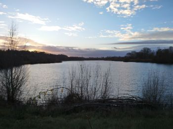 Tour Wandern Amboise - Amboise - variante PR Hors des sentiers battus - 13.2km 125m 2h45 - 2023 12 20 - Photo