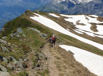 Tocht Stappen Les Houches - Aiguillette des Houches - Photo