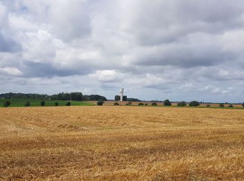 Tocht Stappen Luik - Rocourt - Othée - Rocourt  - Photo