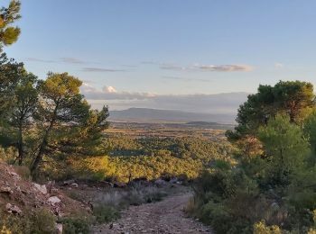 Trail Walking Caunes-Minervois - LaMatte  7 novembre 2023 - Photo