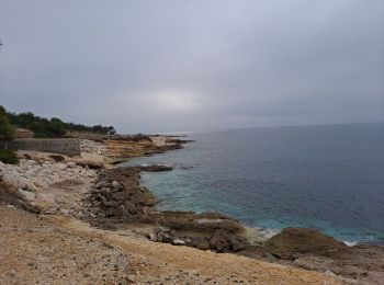 Randonnée Marche Sausset-les-Pins - Promenade de la corniche - Photo