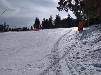 Trail Cross-country skiing Le Valtin - schlucht - Photo