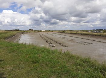 Tour Wandern Mornac-sur-Seudre - MORNAC / SEUDRE avec jeannot et babeth - Photo