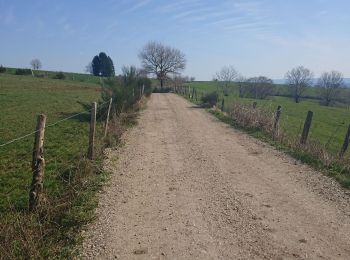 Trail Walking Saint-Côme-d'Olt - Labastide canto messo - Photo