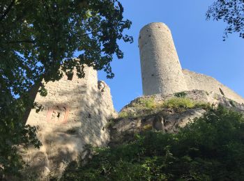 Tour Wandern Andlau - Circuit Hungersplatz Château d'Andlau - Photo