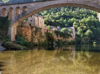 Tocht Stappen Gorges du Tarn Causses - ste enimie - la Malene - Photo