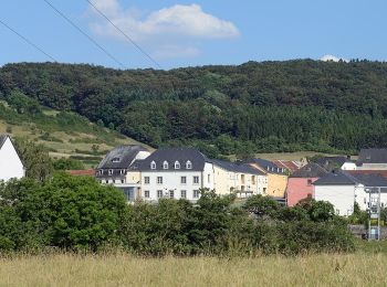 Randonnée A pied Vallée de l'Ernz - E6 - Ermsdorf - Photo